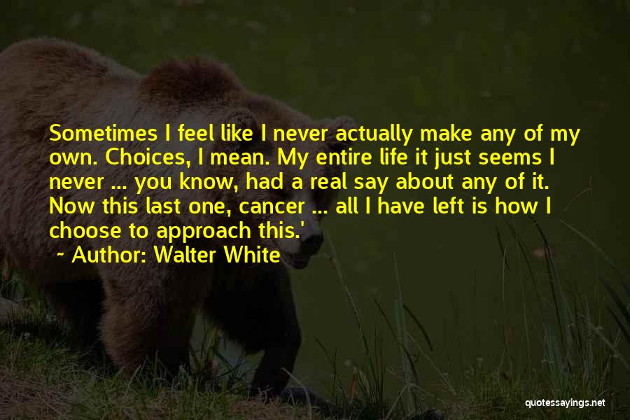 Walter White Quotes: Sometimes I Feel Like I Never Actually Make Any Of My Own. Choices, I Mean. My Entire Life It Just