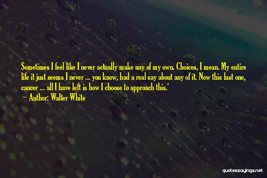 Walter White Quotes: Sometimes I Feel Like I Never Actually Make Any Of My Own. Choices, I Mean. My Entire Life It Just