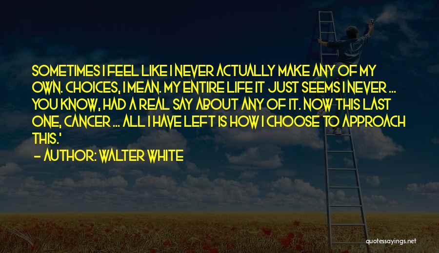 Walter White Quotes: Sometimes I Feel Like I Never Actually Make Any Of My Own. Choices, I Mean. My Entire Life It Just