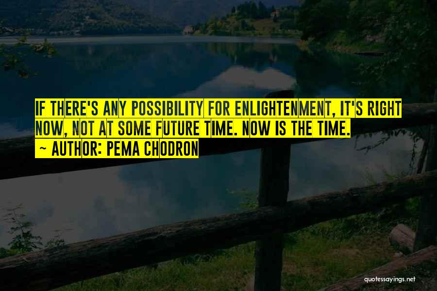 Pema Chodron Quotes: If There's Any Possibility For Enlightenment, It's Right Now, Not At Some Future Time. Now Is The Time.