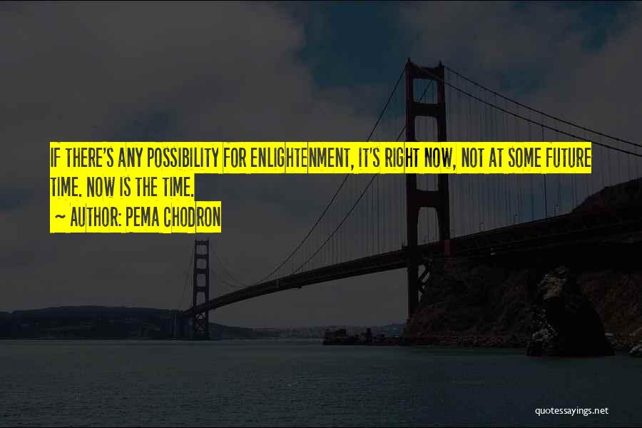 Pema Chodron Quotes: If There's Any Possibility For Enlightenment, It's Right Now, Not At Some Future Time. Now Is The Time.