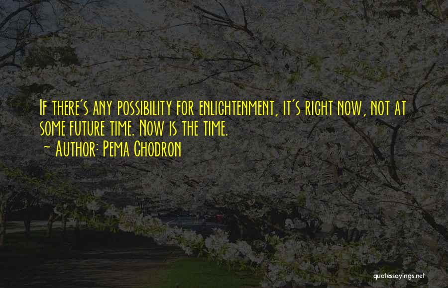 Pema Chodron Quotes: If There's Any Possibility For Enlightenment, It's Right Now, Not At Some Future Time. Now Is The Time.