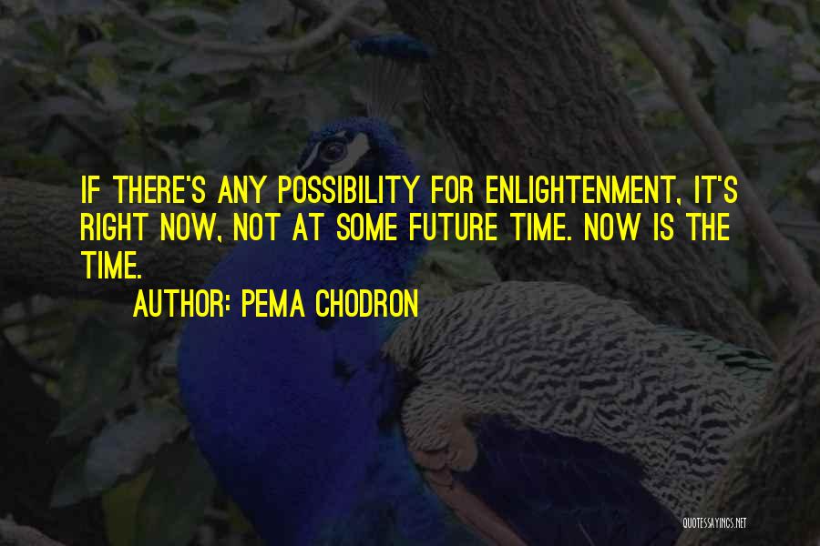 Pema Chodron Quotes: If There's Any Possibility For Enlightenment, It's Right Now, Not At Some Future Time. Now Is The Time.