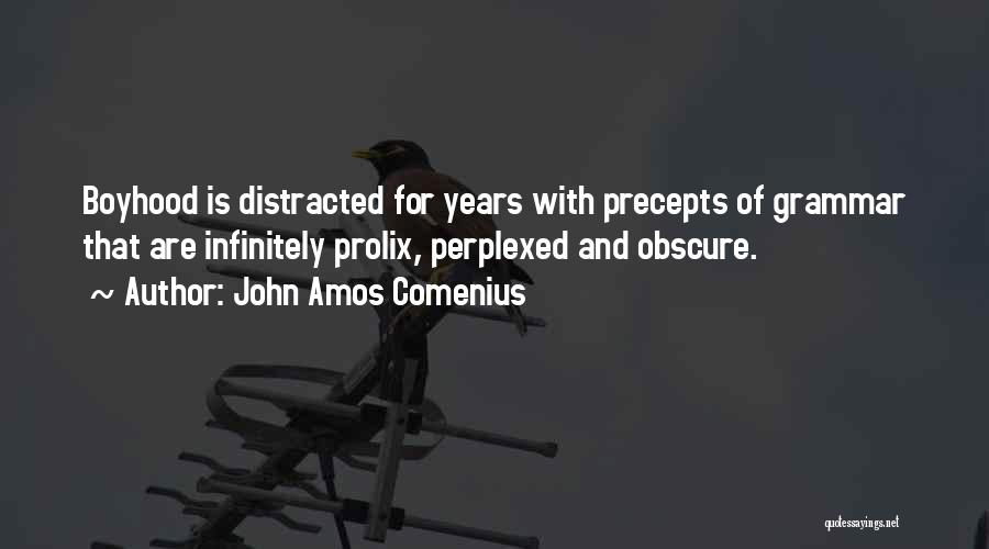 John Amos Comenius Quotes: Boyhood Is Distracted For Years With Precepts Of Grammar That Are Infinitely Prolix, Perplexed And Obscure.