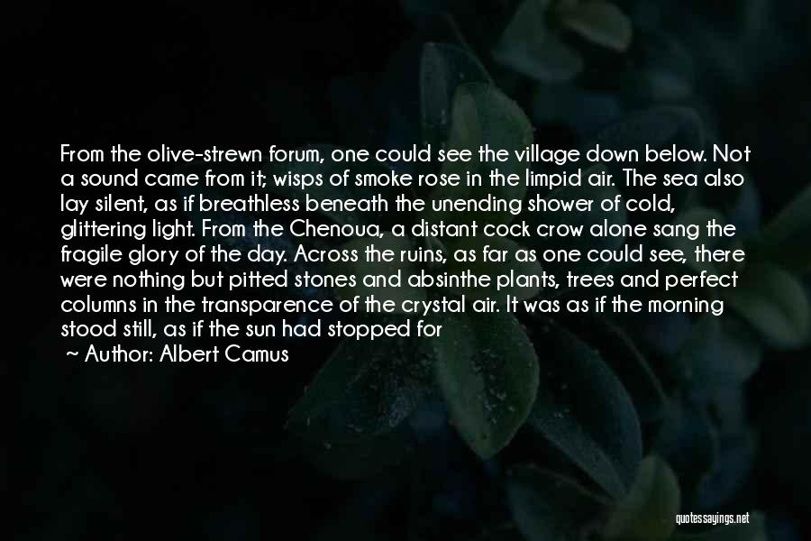 Albert Camus Quotes: From The Olive-strewn Forum, One Could See The Village Down Below. Not A Sound Came From It; Wisps Of Smoke