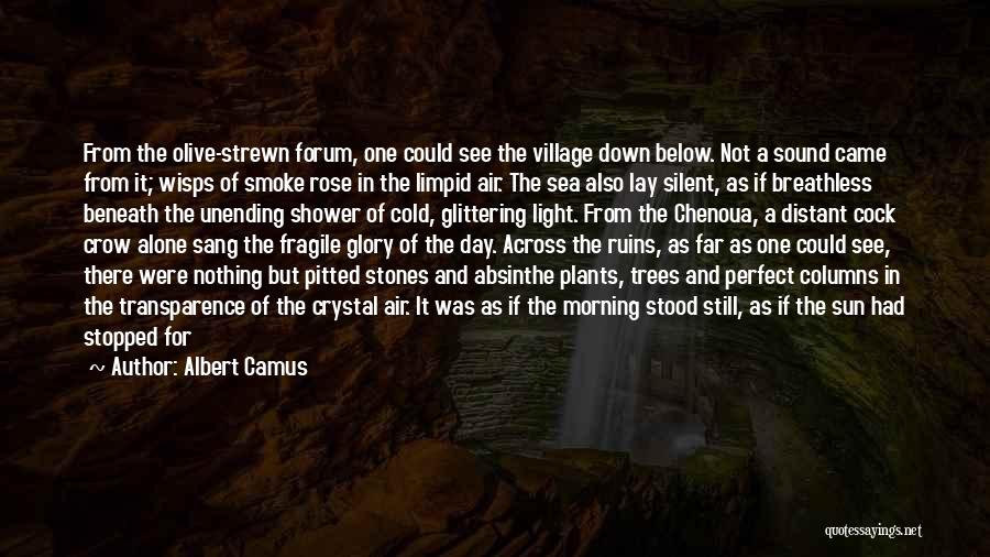 Albert Camus Quotes: From The Olive-strewn Forum, One Could See The Village Down Below. Not A Sound Came From It; Wisps Of Smoke