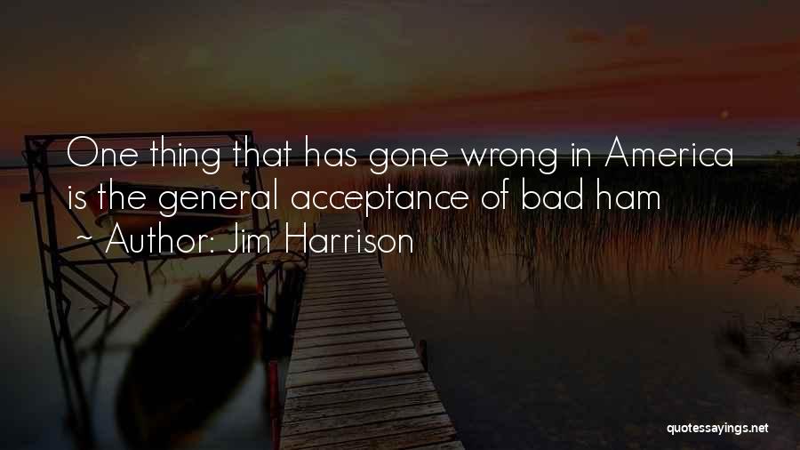 Jim Harrison Quotes: One Thing That Has Gone Wrong In America Is The General Acceptance Of Bad Ham