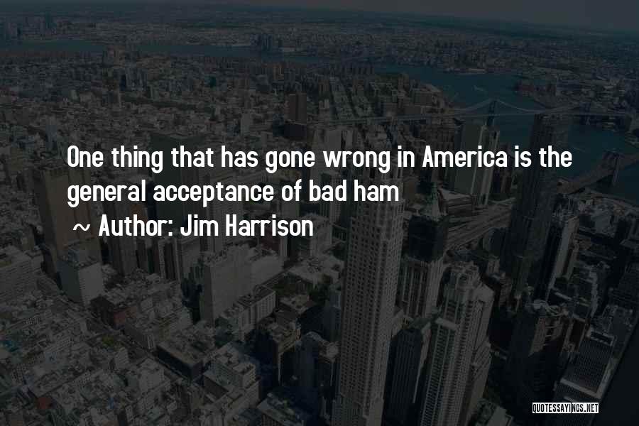 Jim Harrison Quotes: One Thing That Has Gone Wrong In America Is The General Acceptance Of Bad Ham