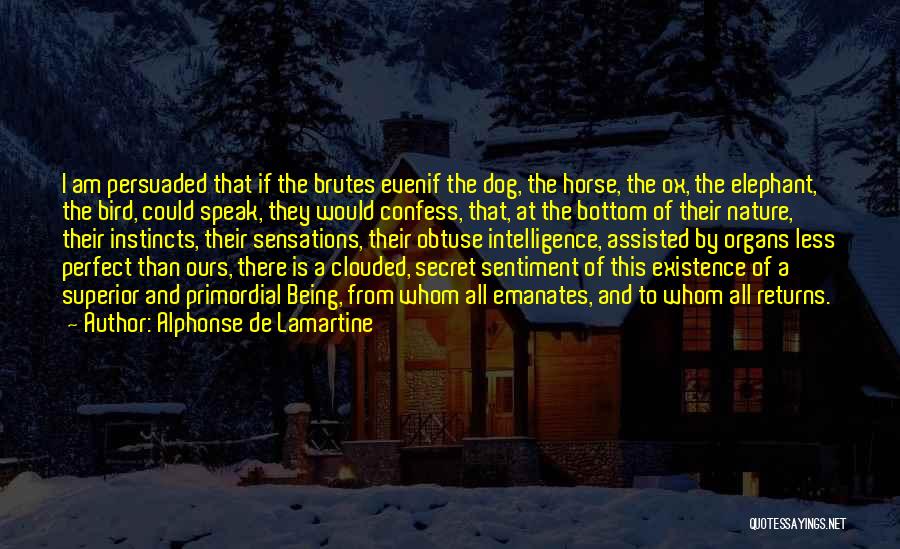 Alphonse De Lamartine Quotes: I Am Persuaded That If The Brutes Evenif The Dog, The Horse, The Ox, The Elephant, The Bird, Could Speak,