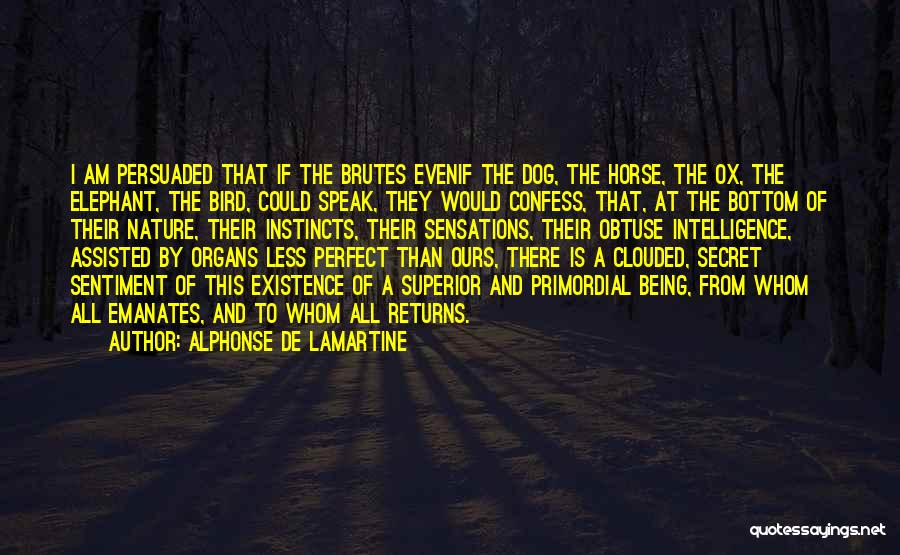 Alphonse De Lamartine Quotes: I Am Persuaded That If The Brutes Evenif The Dog, The Horse, The Ox, The Elephant, The Bird, Could Speak,