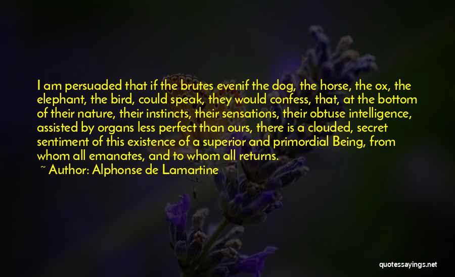 Alphonse De Lamartine Quotes: I Am Persuaded That If The Brutes Evenif The Dog, The Horse, The Ox, The Elephant, The Bird, Could Speak,