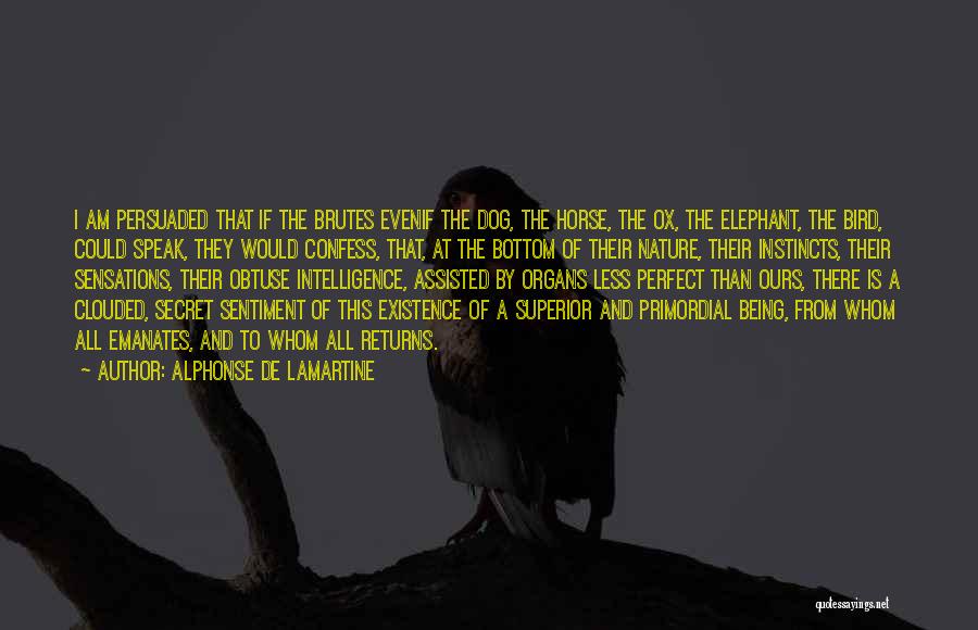 Alphonse De Lamartine Quotes: I Am Persuaded That If The Brutes Evenif The Dog, The Horse, The Ox, The Elephant, The Bird, Could Speak,