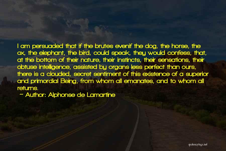 Alphonse De Lamartine Quotes: I Am Persuaded That If The Brutes Evenif The Dog, The Horse, The Ox, The Elephant, The Bird, Could Speak,