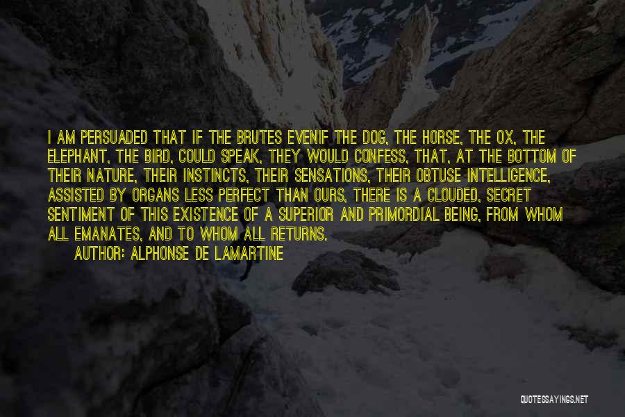 Alphonse De Lamartine Quotes: I Am Persuaded That If The Brutes Evenif The Dog, The Horse, The Ox, The Elephant, The Bird, Could Speak,