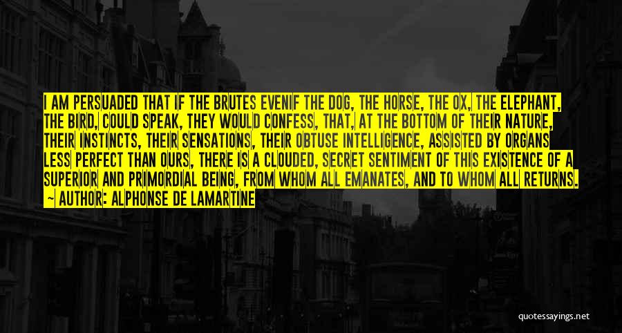 Alphonse De Lamartine Quotes: I Am Persuaded That If The Brutes Evenif The Dog, The Horse, The Ox, The Elephant, The Bird, Could Speak,