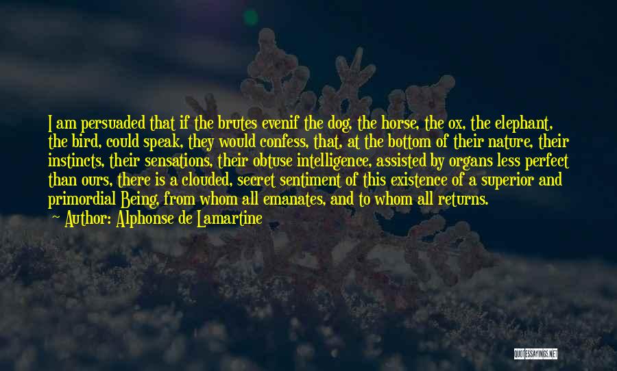 Alphonse De Lamartine Quotes: I Am Persuaded That If The Brutes Evenif The Dog, The Horse, The Ox, The Elephant, The Bird, Could Speak,