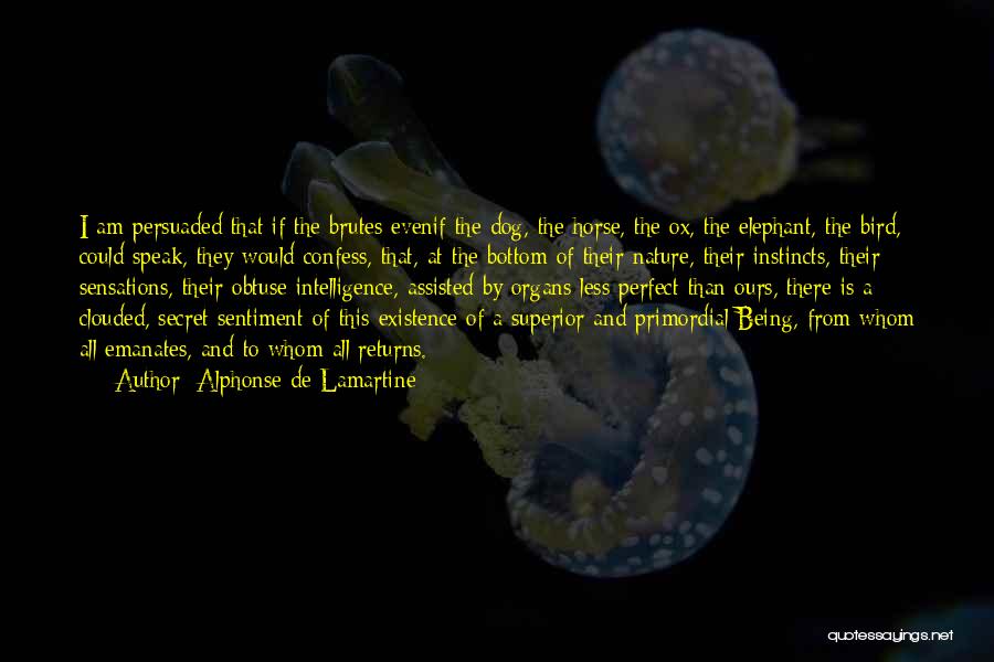 Alphonse De Lamartine Quotes: I Am Persuaded That If The Brutes Evenif The Dog, The Horse, The Ox, The Elephant, The Bird, Could Speak,