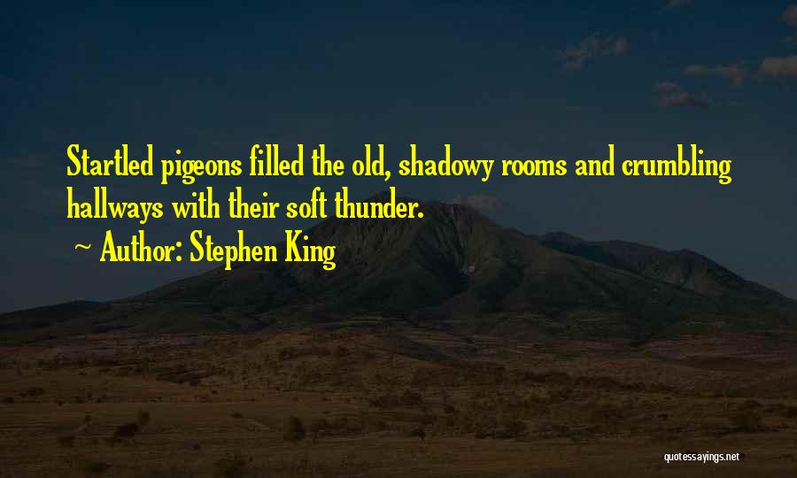 Stephen King Quotes: Startled Pigeons Filled The Old, Shadowy Rooms And Crumbling Hallways With Their Soft Thunder.