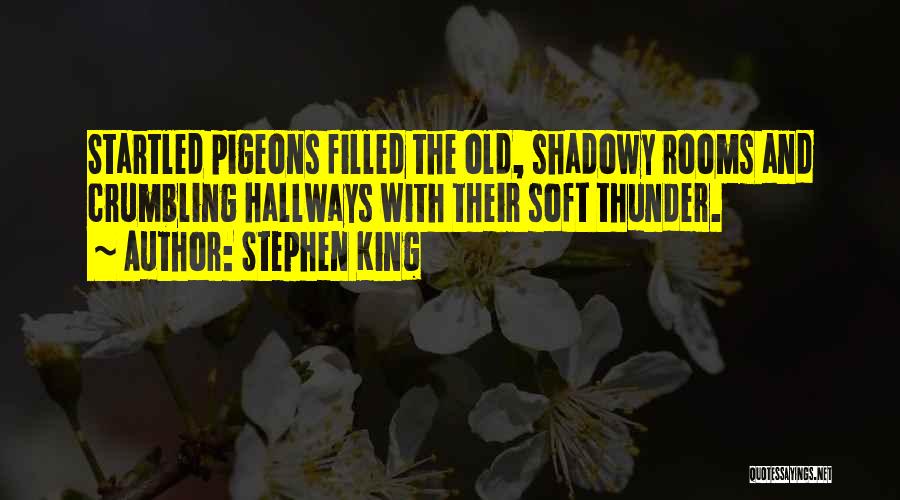 Stephen King Quotes: Startled Pigeons Filled The Old, Shadowy Rooms And Crumbling Hallways With Their Soft Thunder.