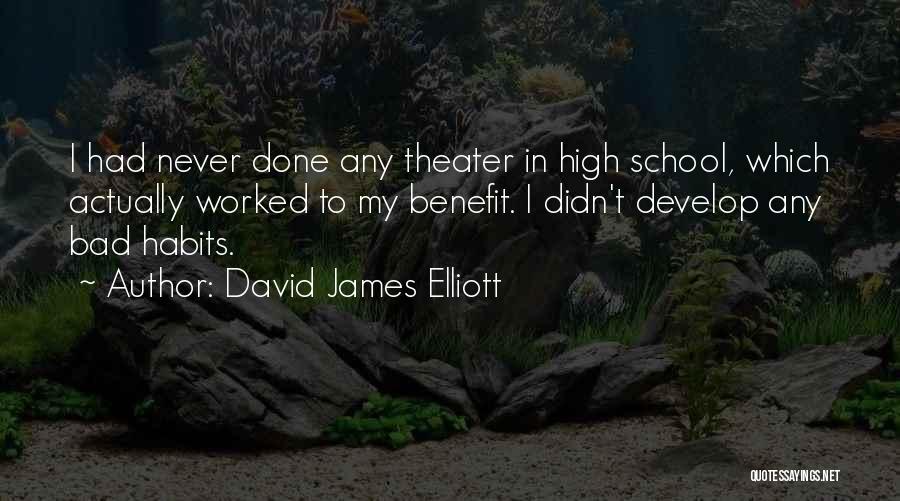 David James Elliott Quotes: I Had Never Done Any Theater In High School, Which Actually Worked To My Benefit. I Didn't Develop Any Bad