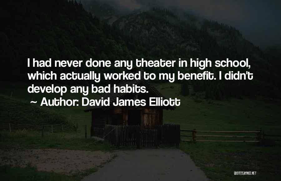 David James Elliott Quotes: I Had Never Done Any Theater In High School, Which Actually Worked To My Benefit. I Didn't Develop Any Bad