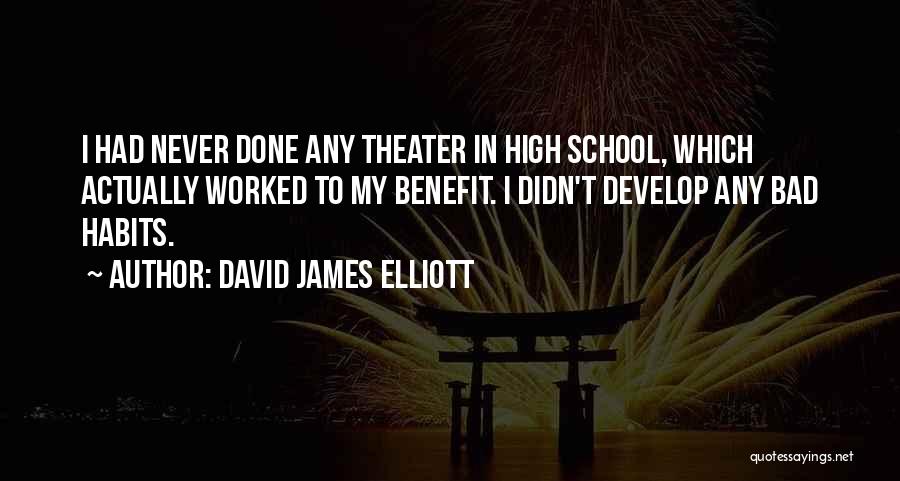 David James Elliott Quotes: I Had Never Done Any Theater In High School, Which Actually Worked To My Benefit. I Didn't Develop Any Bad