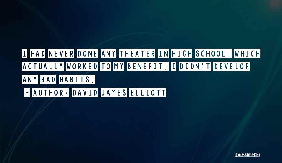 David James Elliott Quotes: I Had Never Done Any Theater In High School, Which Actually Worked To My Benefit. I Didn't Develop Any Bad