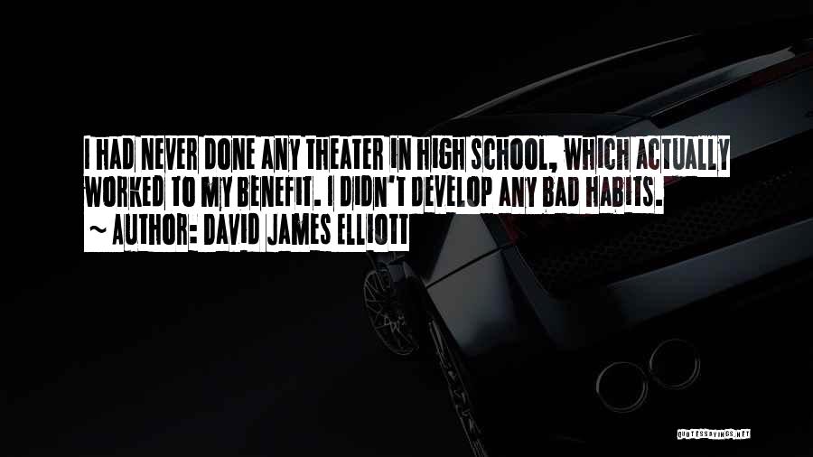 David James Elliott Quotes: I Had Never Done Any Theater In High School, Which Actually Worked To My Benefit. I Didn't Develop Any Bad