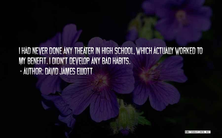 David James Elliott Quotes: I Had Never Done Any Theater In High School, Which Actually Worked To My Benefit. I Didn't Develop Any Bad