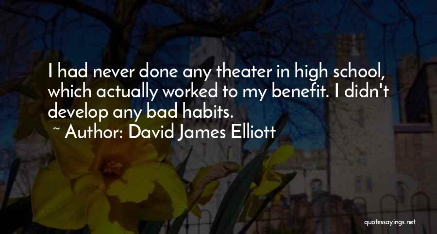 David James Elliott Quotes: I Had Never Done Any Theater In High School, Which Actually Worked To My Benefit. I Didn't Develop Any Bad