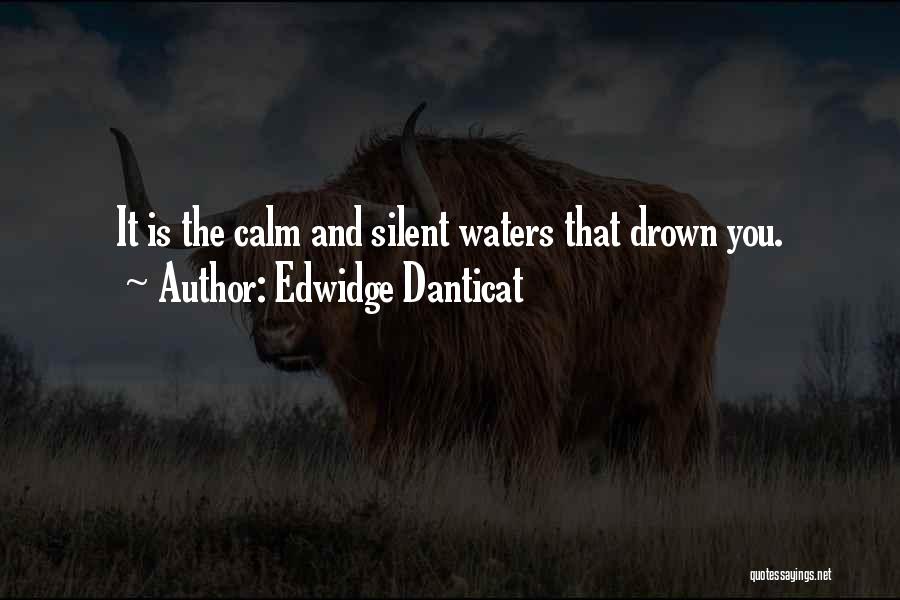 Edwidge Danticat Quotes: It Is The Calm And Silent Waters That Drown You.