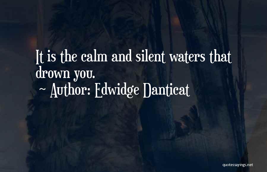 Edwidge Danticat Quotes: It Is The Calm And Silent Waters That Drown You.