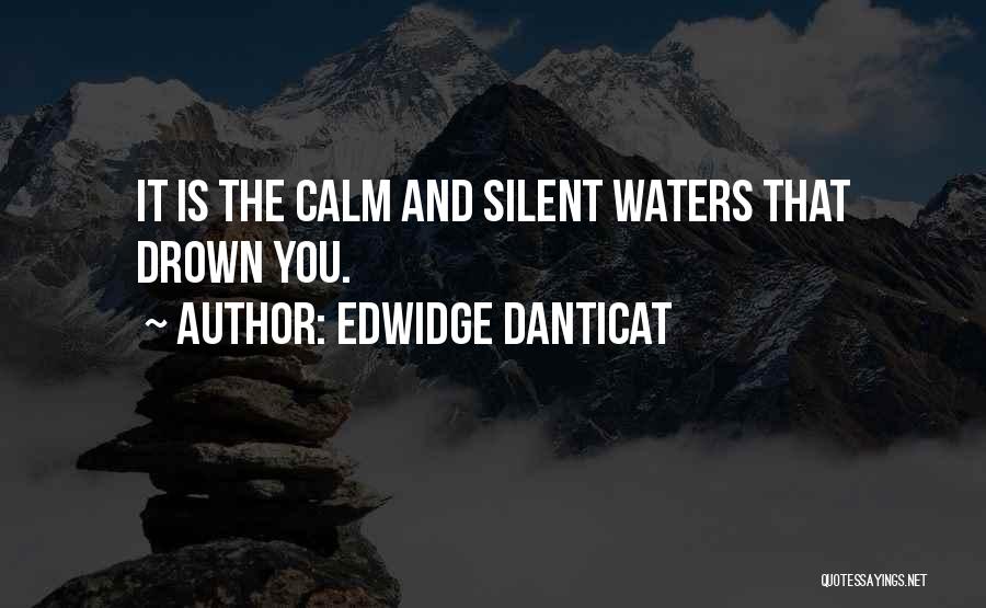 Edwidge Danticat Quotes: It Is The Calm And Silent Waters That Drown You.