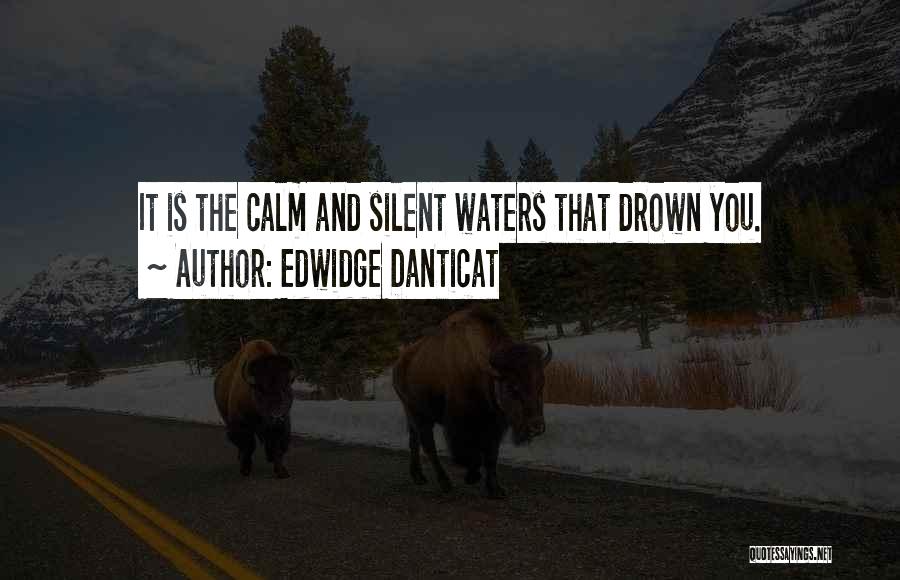 Edwidge Danticat Quotes: It Is The Calm And Silent Waters That Drown You.