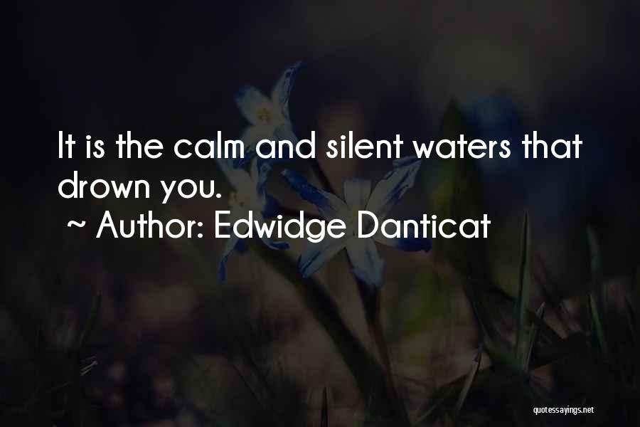 Edwidge Danticat Quotes: It Is The Calm And Silent Waters That Drown You.