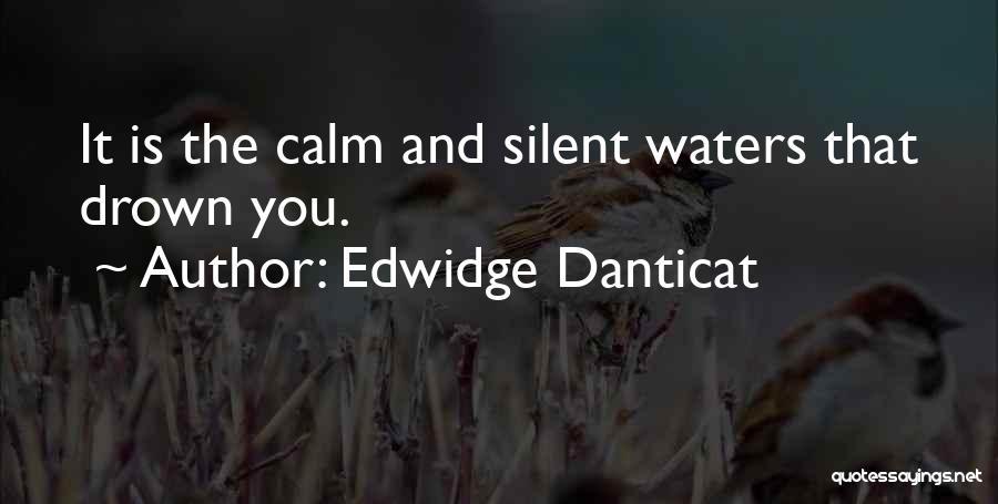 Edwidge Danticat Quotes: It Is The Calm And Silent Waters That Drown You.