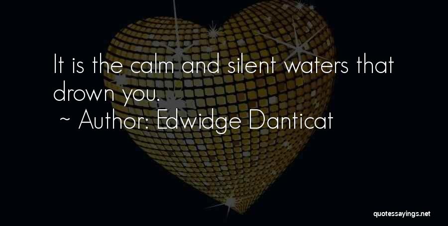 Edwidge Danticat Quotes: It Is The Calm And Silent Waters That Drown You.