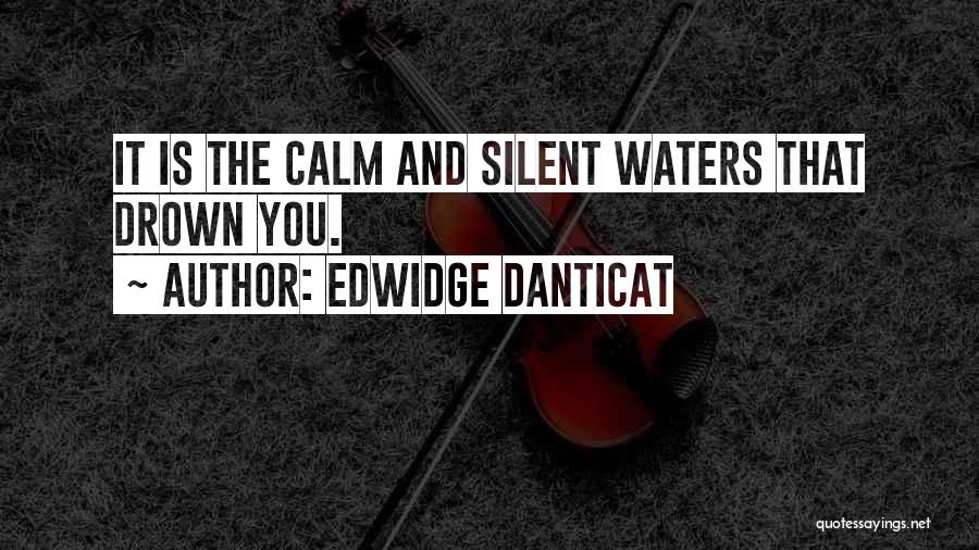 Edwidge Danticat Quotes: It Is The Calm And Silent Waters That Drown You.