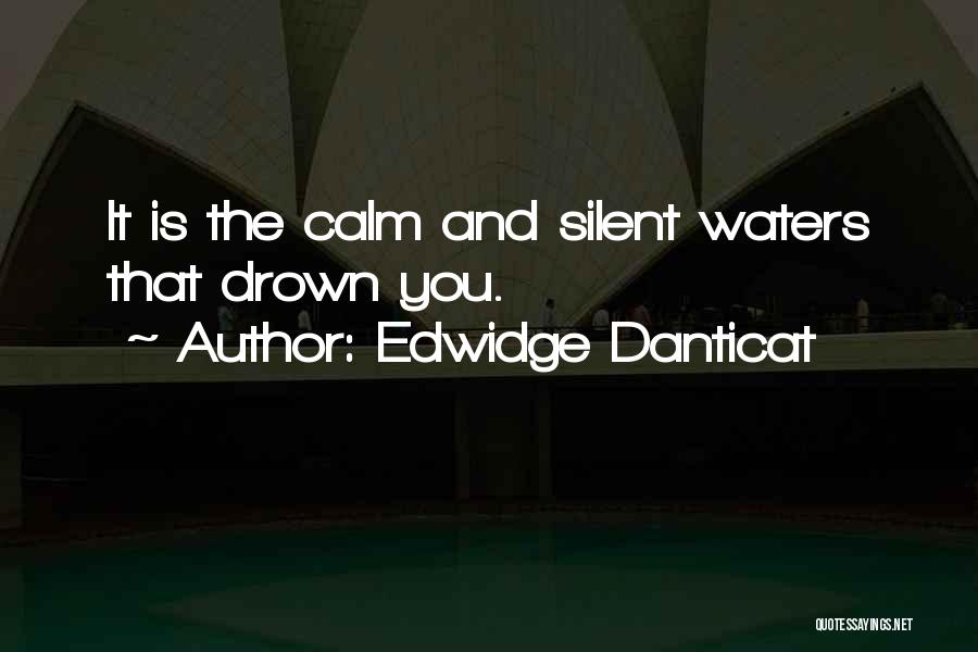 Edwidge Danticat Quotes: It Is The Calm And Silent Waters That Drown You.