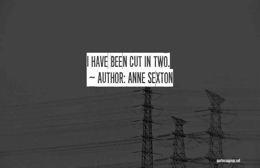 Anne Sexton Quotes: I Have Been Cut In Two.