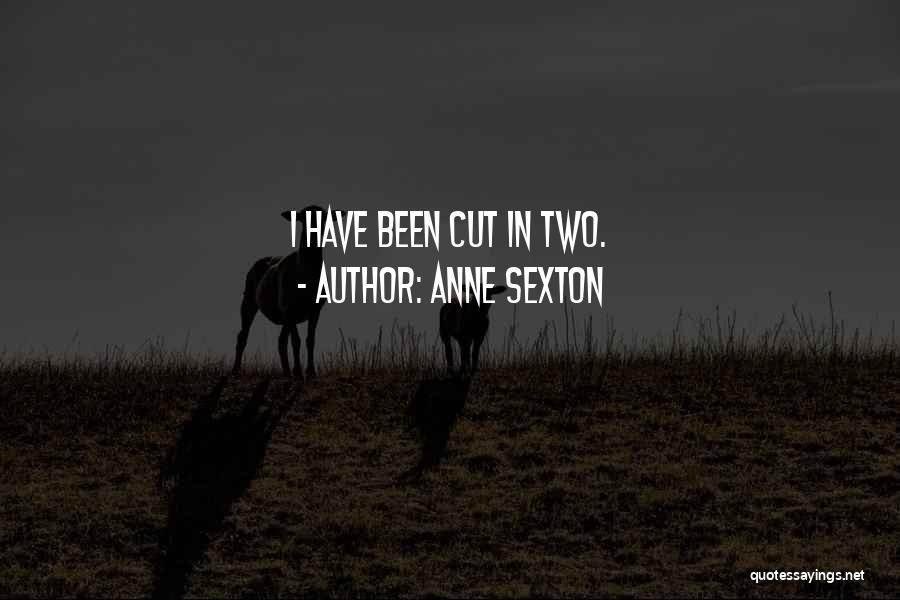 Anne Sexton Quotes: I Have Been Cut In Two.
