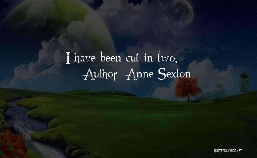 Anne Sexton Quotes: I Have Been Cut In Two.