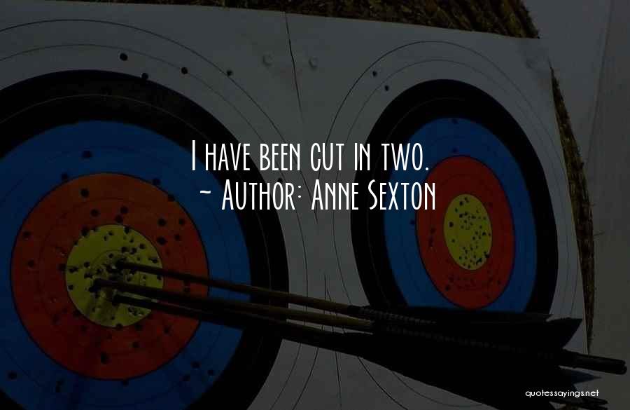 Anne Sexton Quotes: I Have Been Cut In Two.