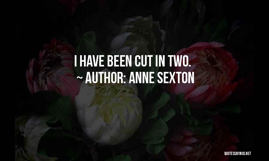 Anne Sexton Quotes: I Have Been Cut In Two.