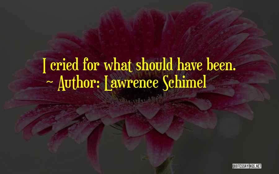 Lawrence Schimel Quotes: I Cried For What Should Have Been.