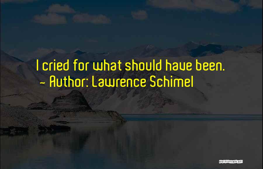 Lawrence Schimel Quotes: I Cried For What Should Have Been.