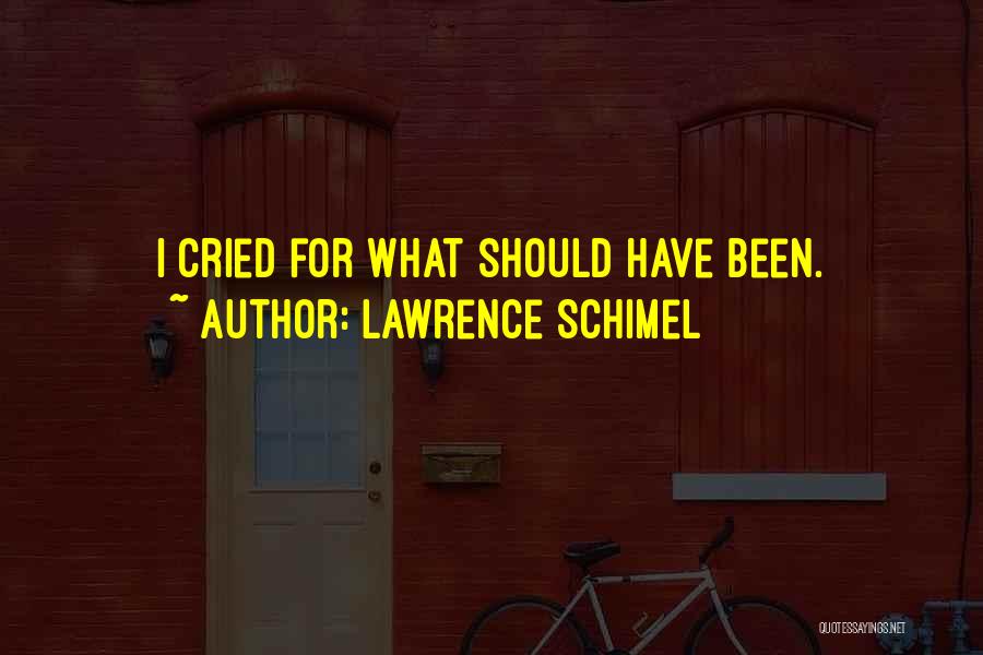 Lawrence Schimel Quotes: I Cried For What Should Have Been.