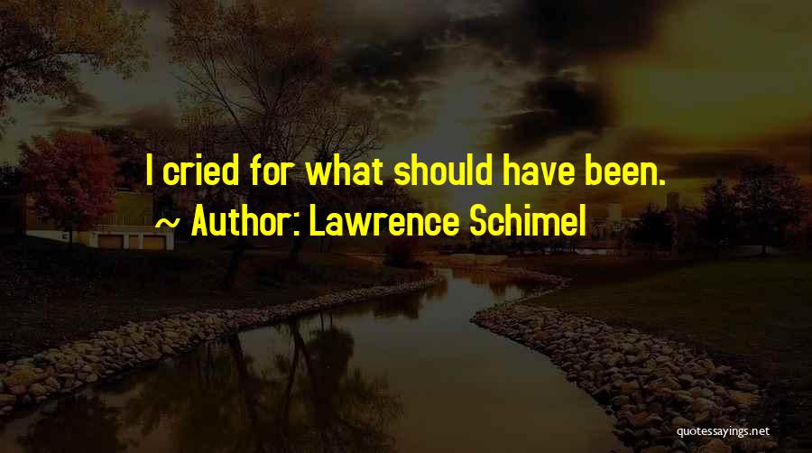 Lawrence Schimel Quotes: I Cried For What Should Have Been.