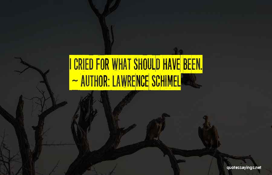 Lawrence Schimel Quotes: I Cried For What Should Have Been.