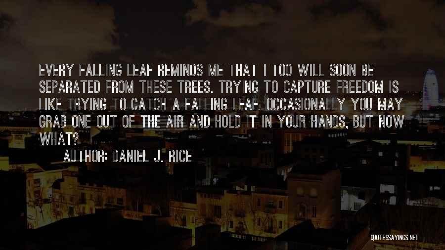 Daniel J. Rice Quotes: Every Falling Leaf Reminds Me That I Too Will Soon Be Separated From These Trees. Trying To Capture Freedom Is